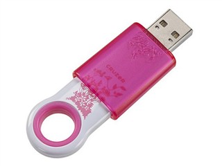 Plastic USB Flash Drive UEPL-20